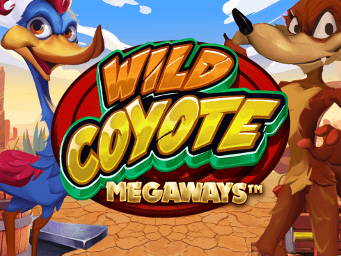 وائلڈ کویوٹی میگا ویز game thumbnail